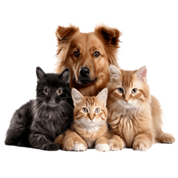 Pet-friendly Resort in Rishikesh